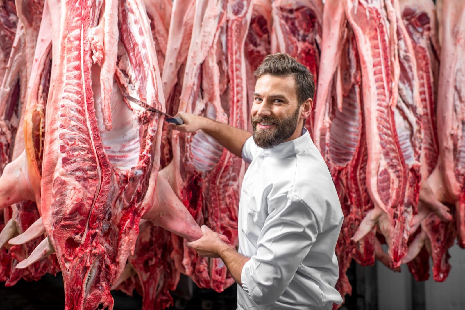 Procesamiento de cerdo y refinamiento: inyección y rendimiento