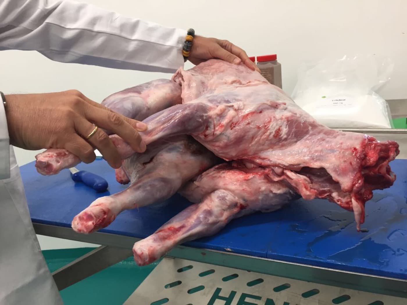 Procesamiento de cordero y caza: inyección con hueso y tumbler