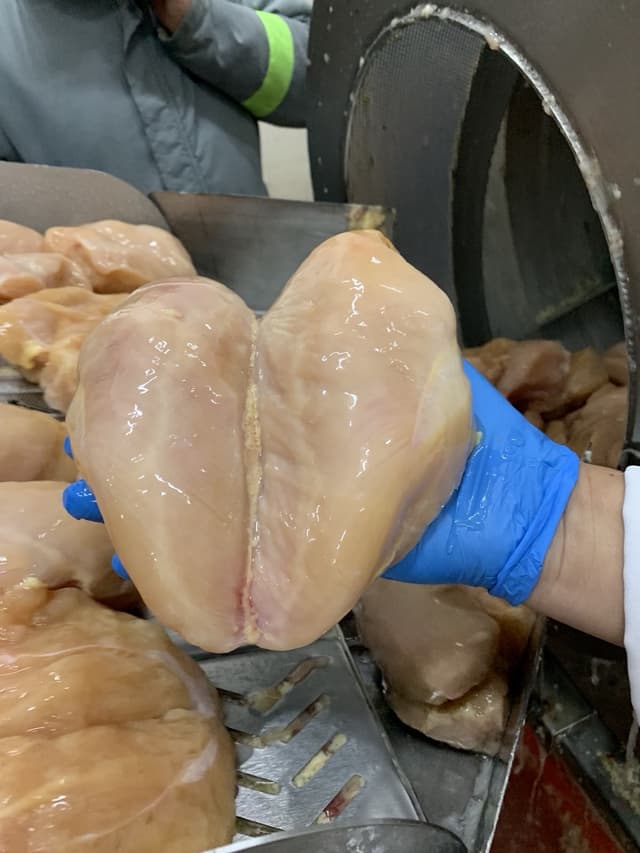 Pechuga de pollo