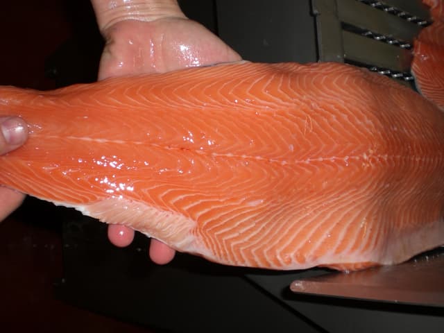 Salmón