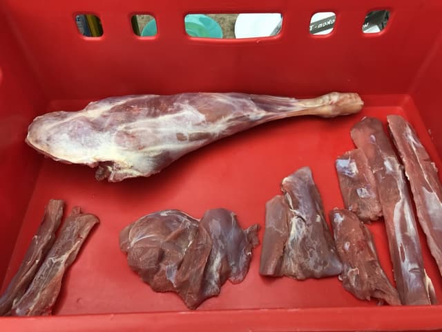 Venado y ciervo